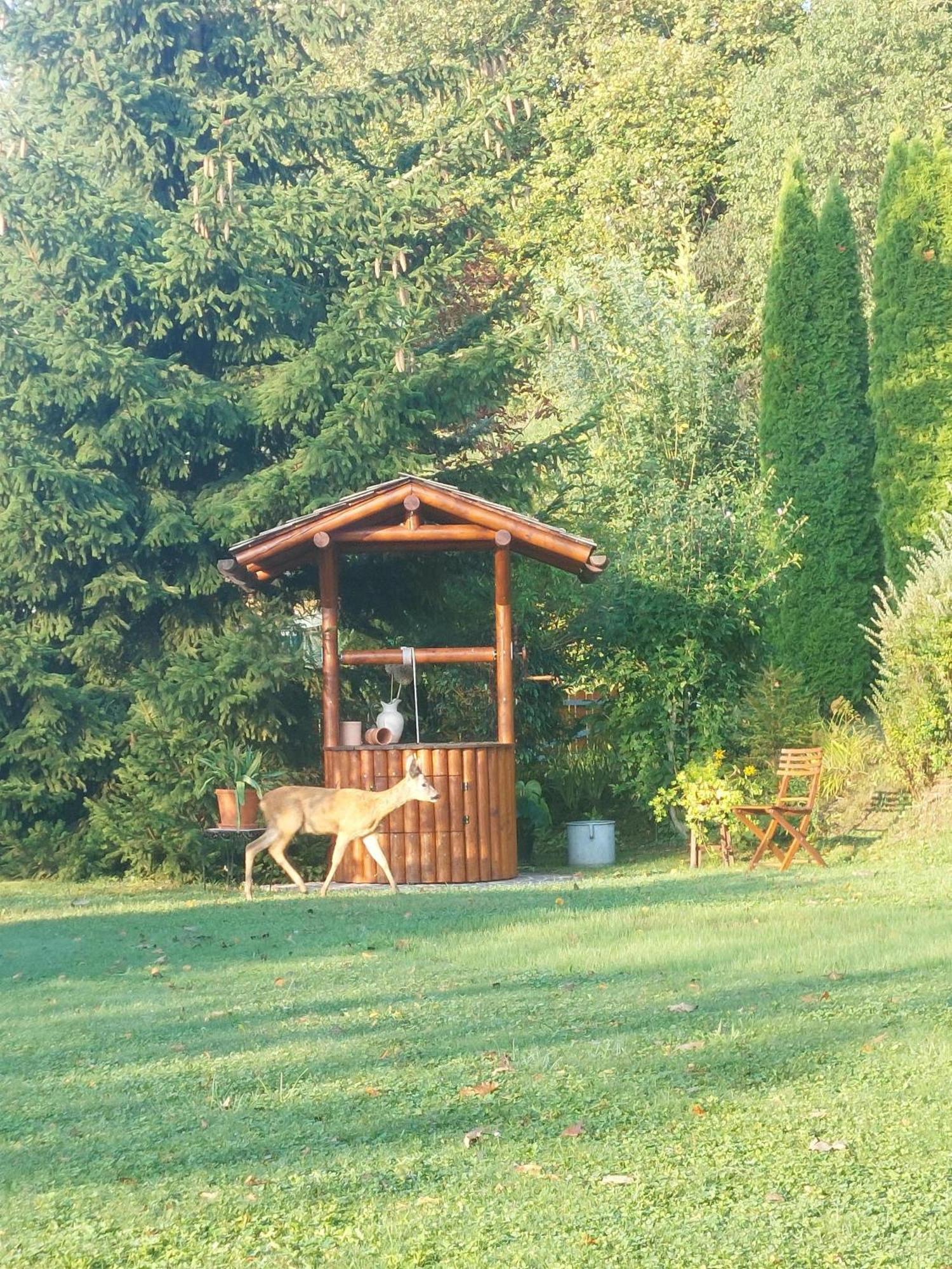 Privatzimmer Am Weinbrunnen Vorchdorf Exterior foto